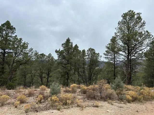 150 Shallow Creek Rd, Timberon, NM 88350 - #3