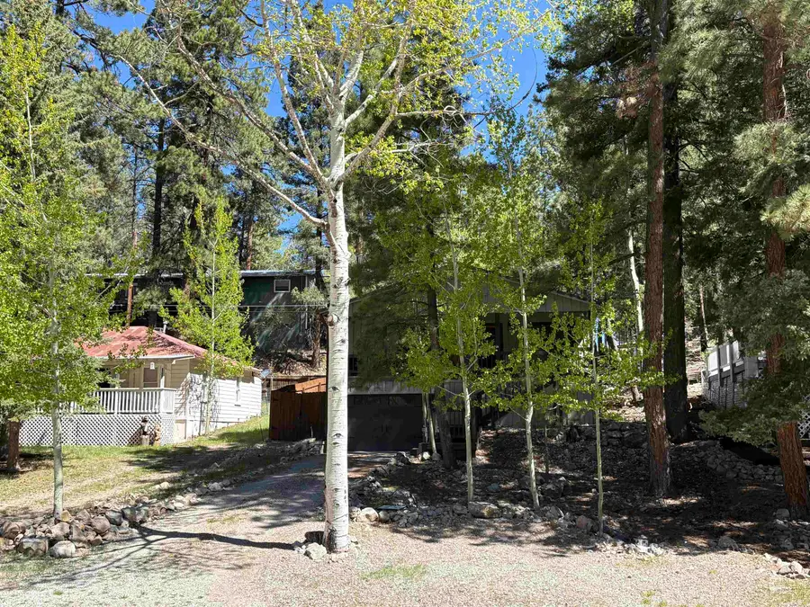 1300 Chautauqua Canyon Blvd, Cloudcroft, NM 88317 - #2