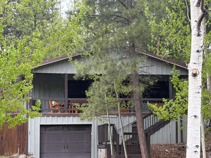 1300 Chautauqua Canyon Blvd, Cloudcroft, NM 88317 - #3