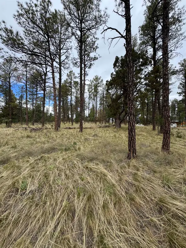 25 Oakmont DR, Timberon, NM 88350