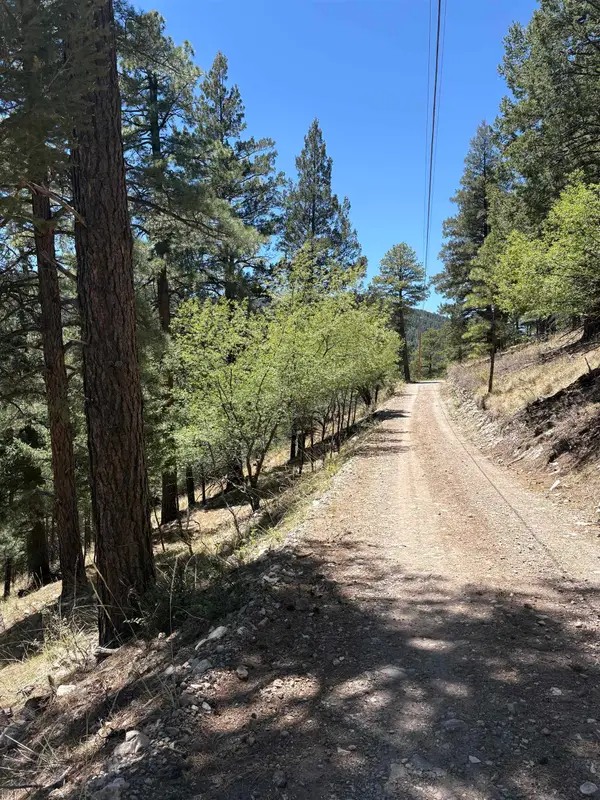 50 Enchanted Forest Ln, Cloudcroft, NM 88317