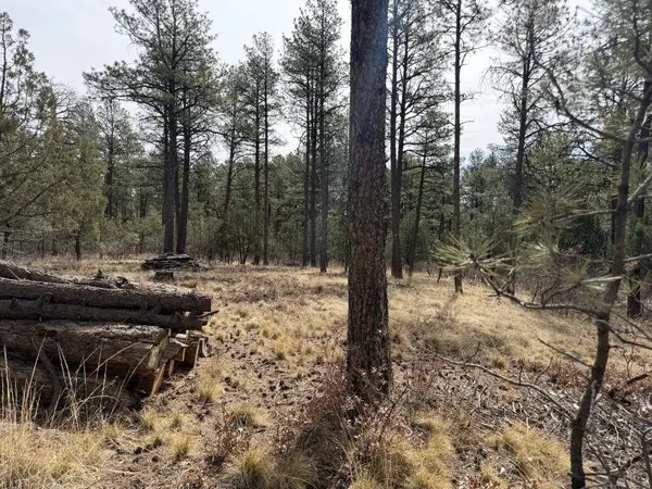 79 Riverside Rd, Timberon, NM 88350