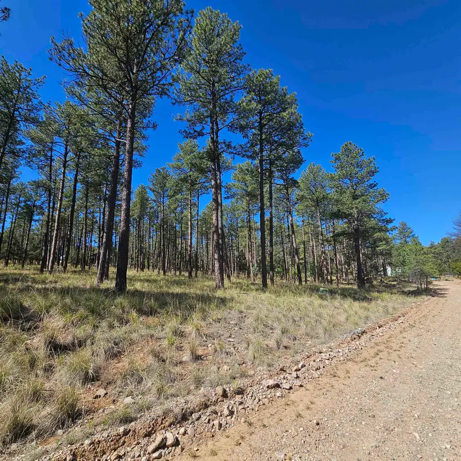 Lot 15 Balkans DR, Timberon, NM 88350 - #2