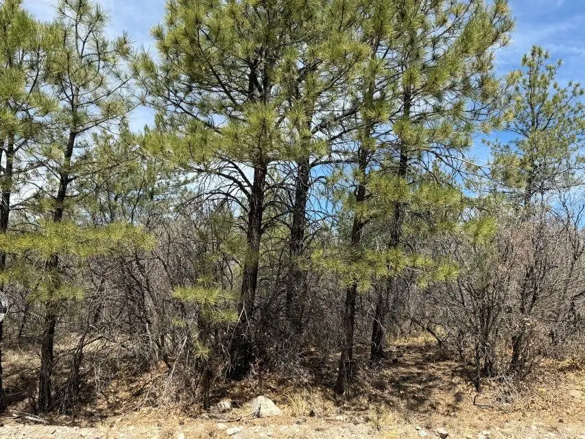 60 Rio Pinar Dr, Timberon, NM 88350 - #1