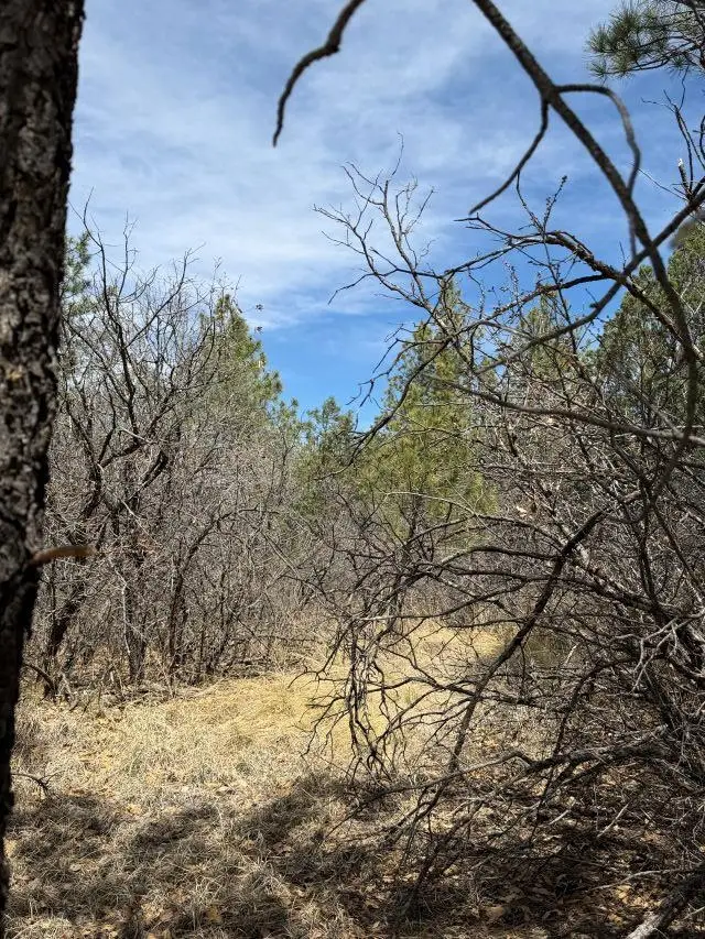 60 Rio Pinar Dr, Timberon, NM 88350 - #2