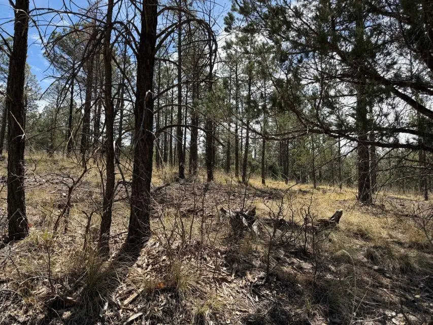 52 Oakmont DR, Timberon, NM 88350 - #2
