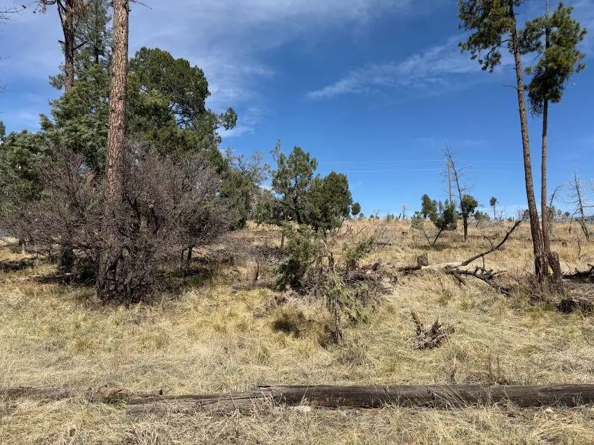 109 Waialae Dr, Timberon, NM 88350 - #2