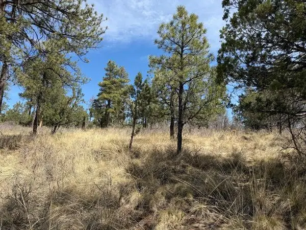 Paradise Valley Dr, Timberon, NM 88350