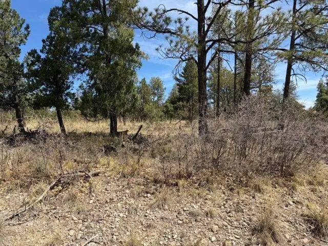 Paradise Valley Dr, Timberon, NM 88350 - #2