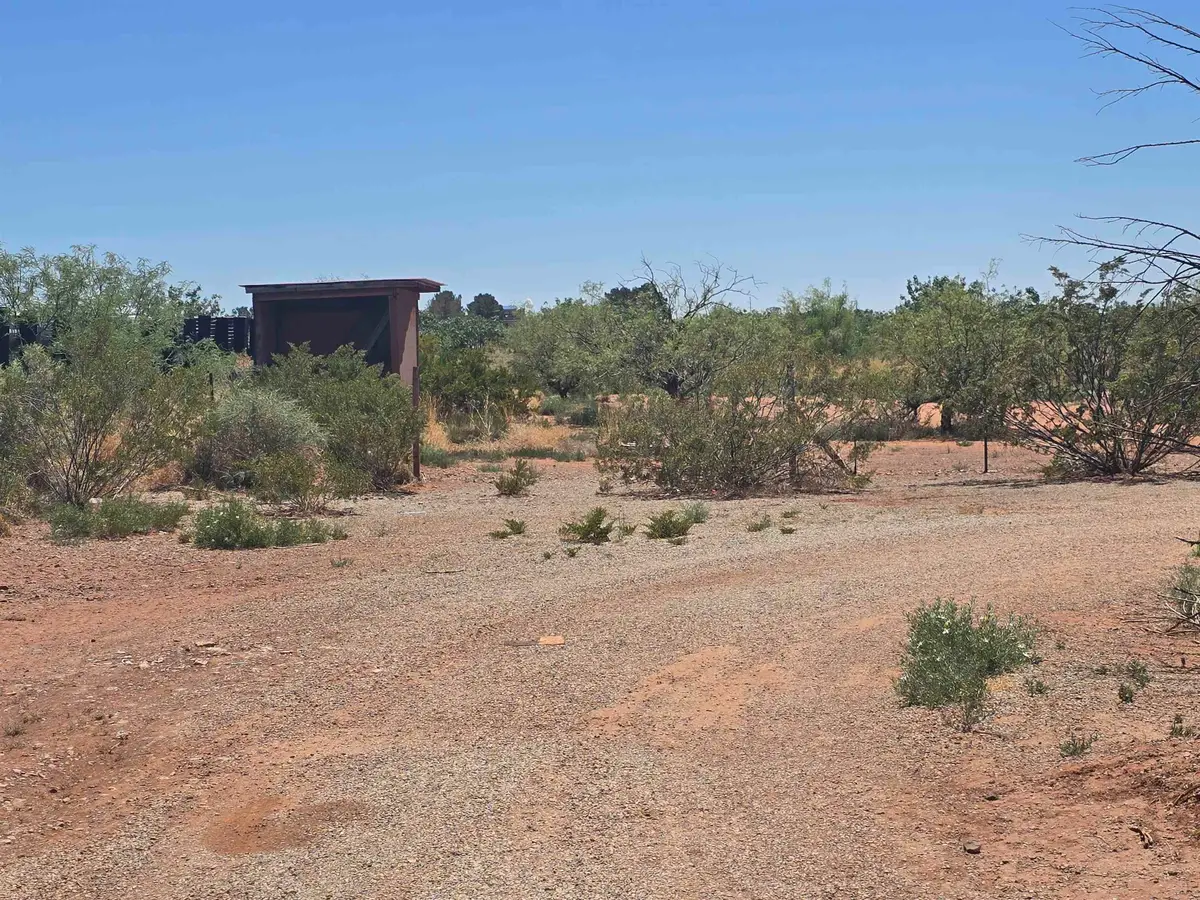 33 Dingo RD, Alamogordo, NM 88310-9999 - #1