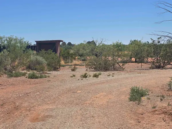 33 Dingo RD, Alamogordo, NM 88310-9999