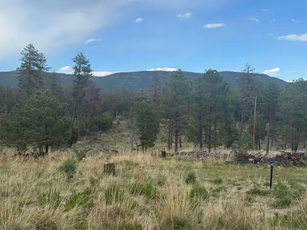 32 Dry Creek DR, Timberon, NM 88350-0000