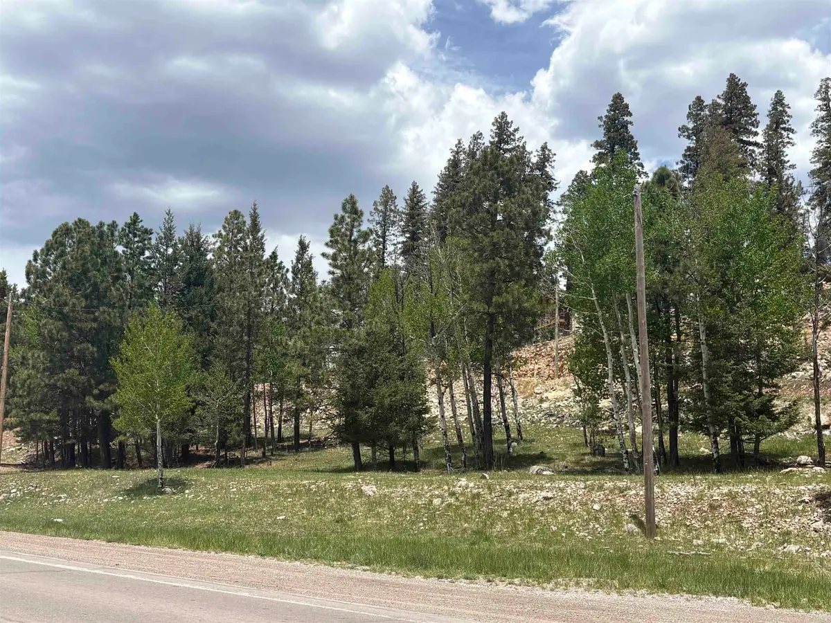 1300 Hwy 82, Cloudcroft, NM 88317-0817 - #1