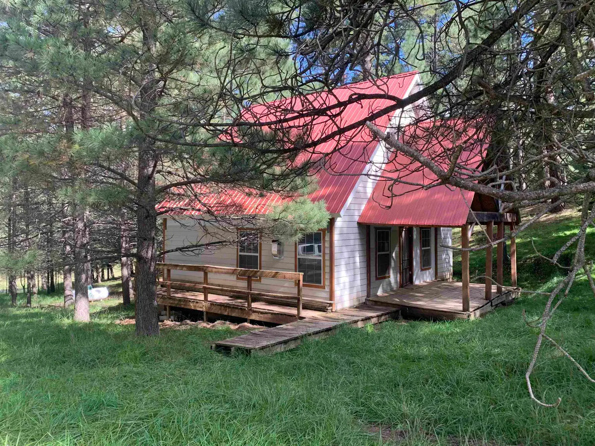 55 Ponderosa Pines Trl, Cloudcroft, NM 88317 - #1