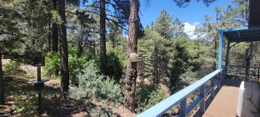 16 Edgewood Ct, Timberon, NM 88350 - #3