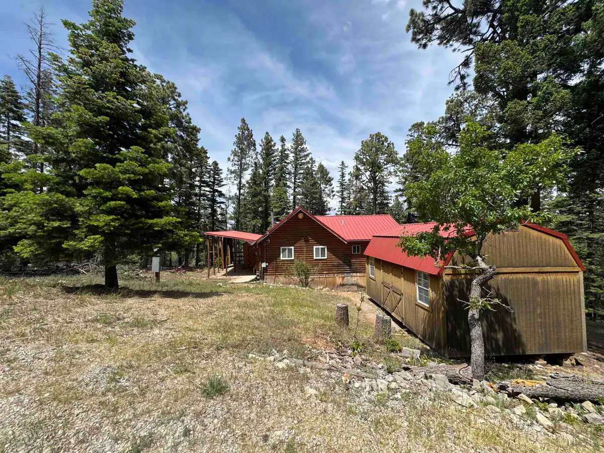 11 Bear Flat Dr, Cloudcroft, NM 88317-0000 - #1