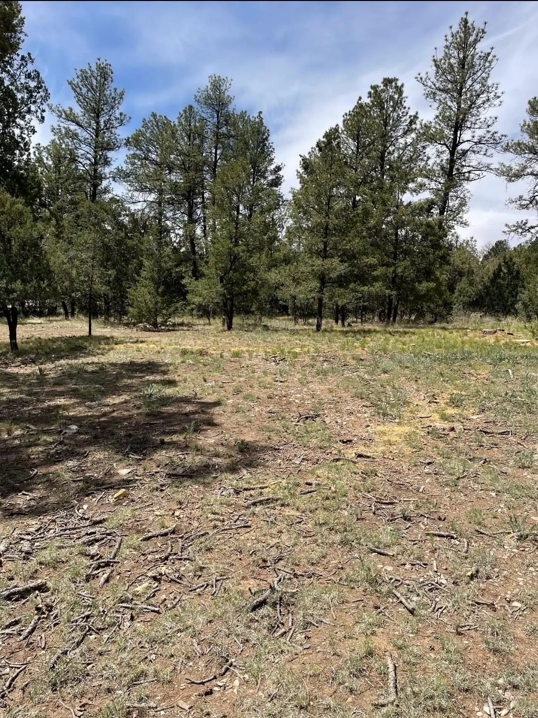 Edgewood Ct, Timberon, NM 88350 - #1
