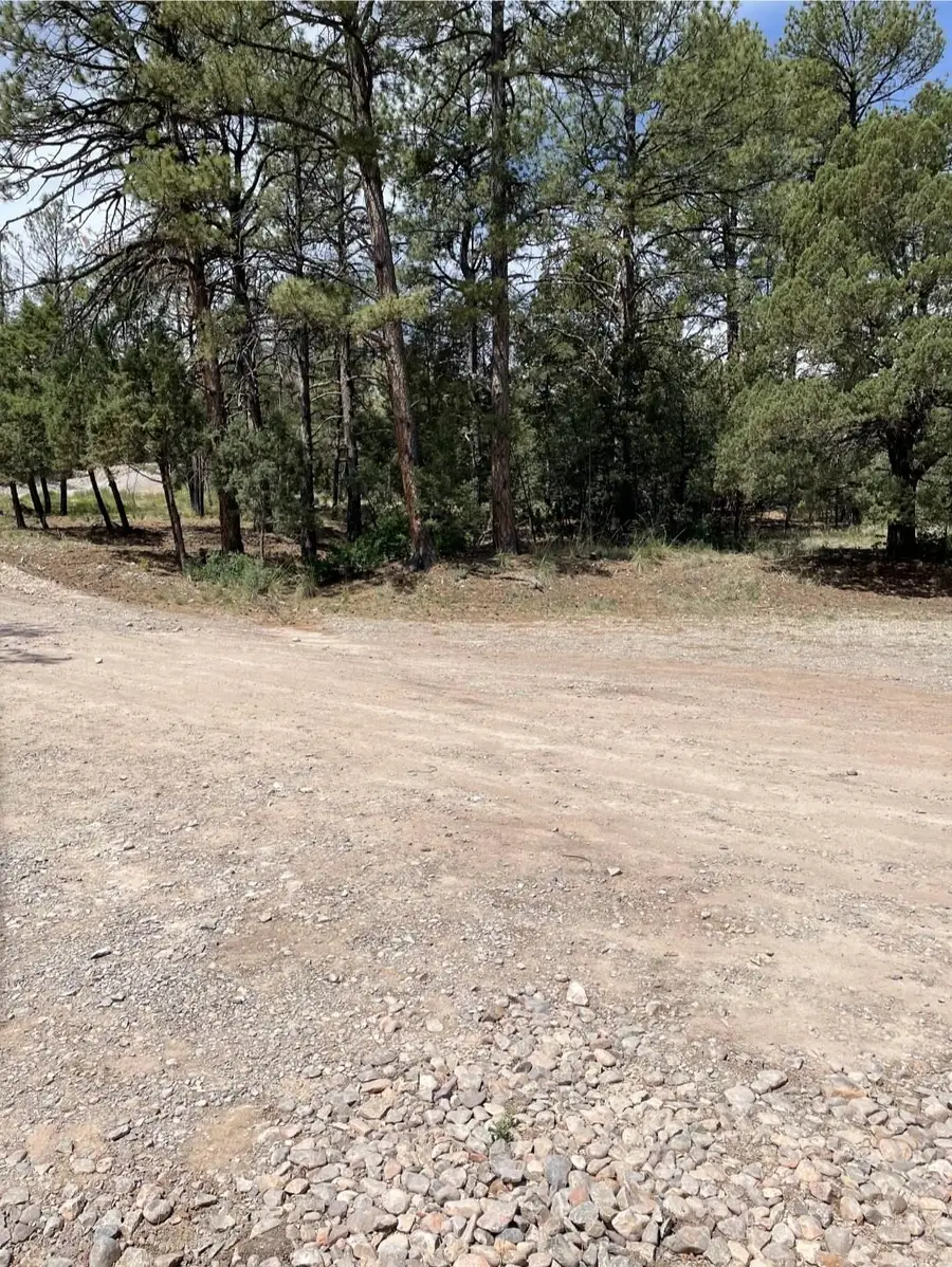 Edgewood Ct, Timberon, NM 88350 - #2