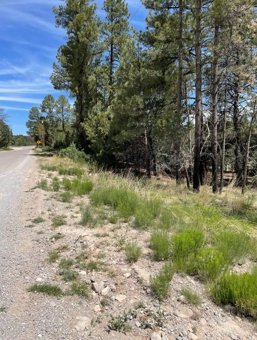 Edgewood Ct, Timberon, NM 88350 - #3