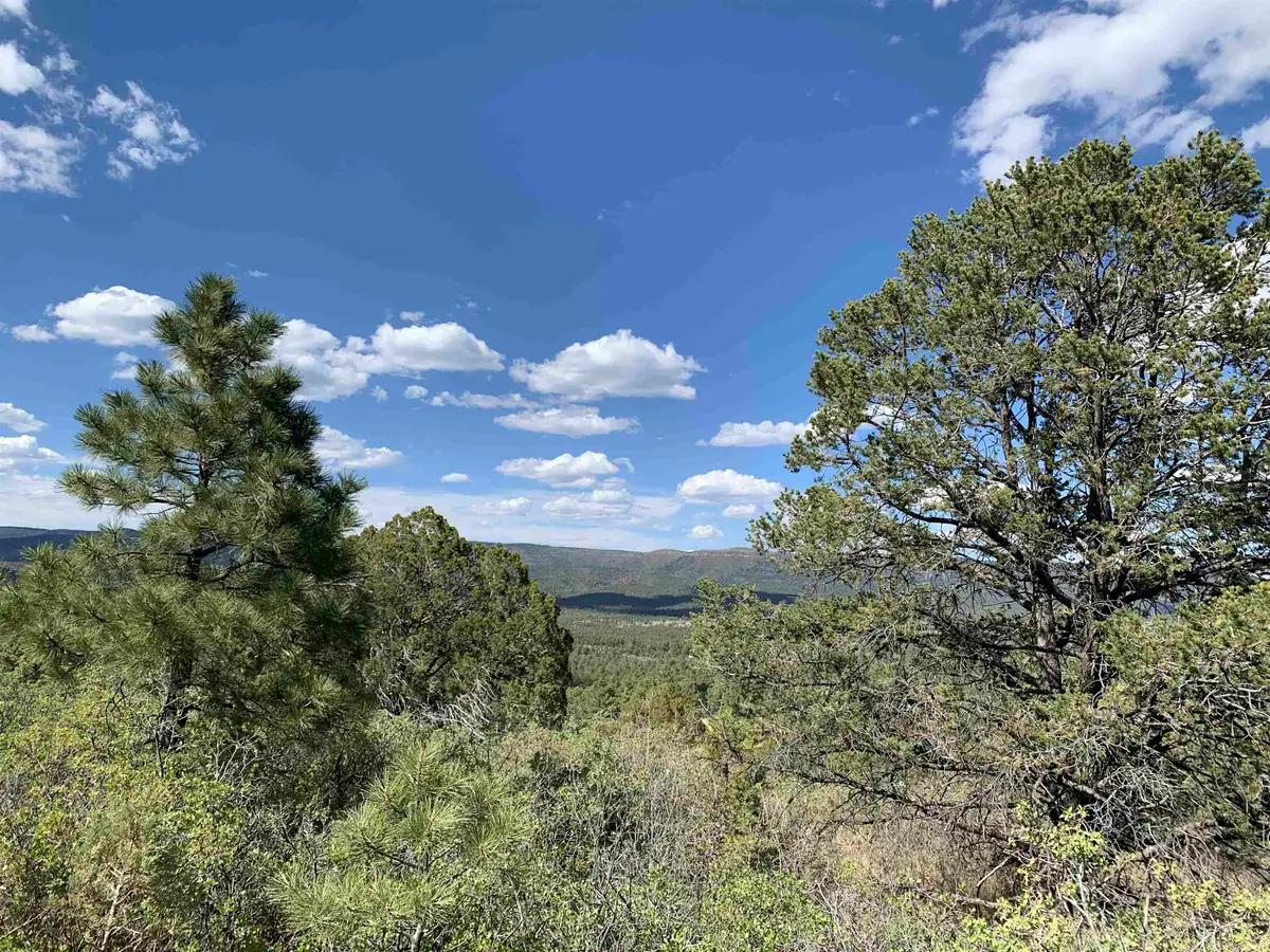 Norwood Dr, Timberon, NM 88350 - #1
