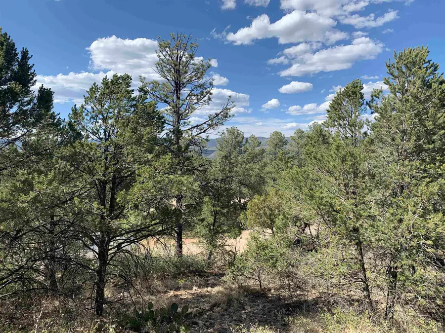 Norwood Dr, Timberon, NM 88350 - #2