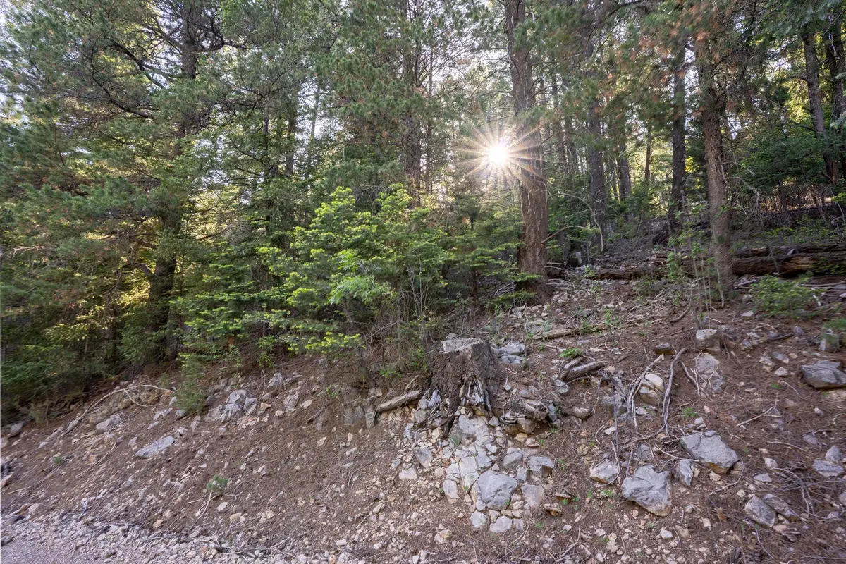 00 Aspen Trl, Cloudcroft, NM 88317 - #1
