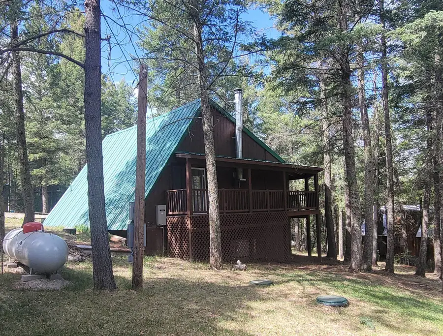 10 Deer Run, Cloudcroft, NM 88317 - #3