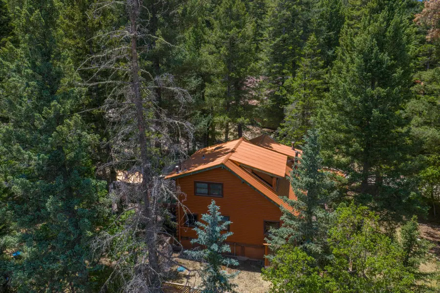 46 Ponderosa Pines Trl, Cloudcroft, NM 88317-0000 - #3