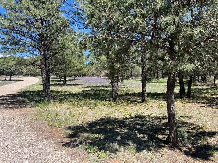30 Acacia Ln, Timberon, NM 88350 - #3