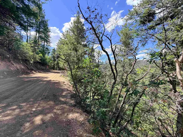 Address Withheld By Seller, High Rolls Mountain Park, NM 88325