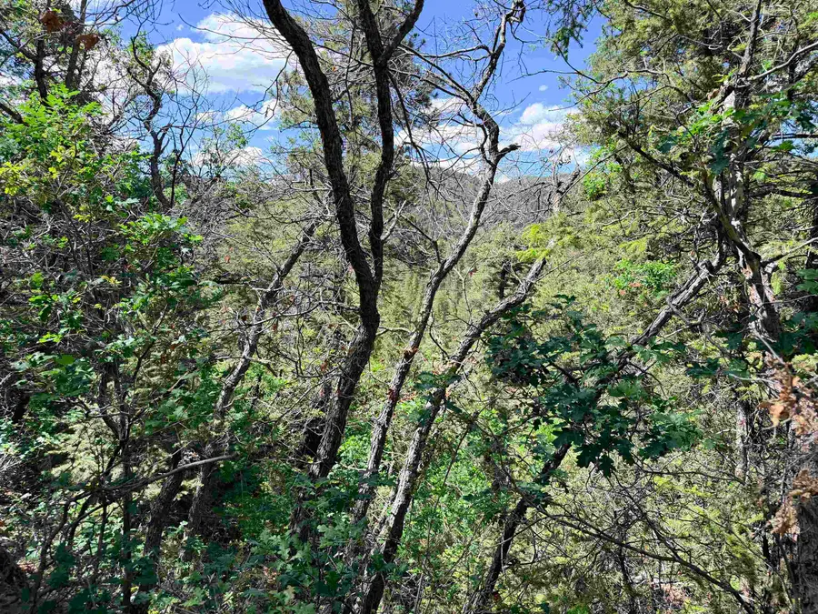 Address Withheld By Seller, High Rolls Mountain Park, NM 88325 - #2