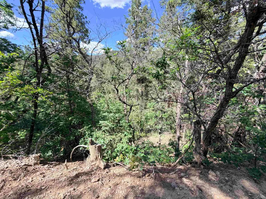 Address Withheld By Seller, High Rolls Mountain Park, NM 88325 - #3