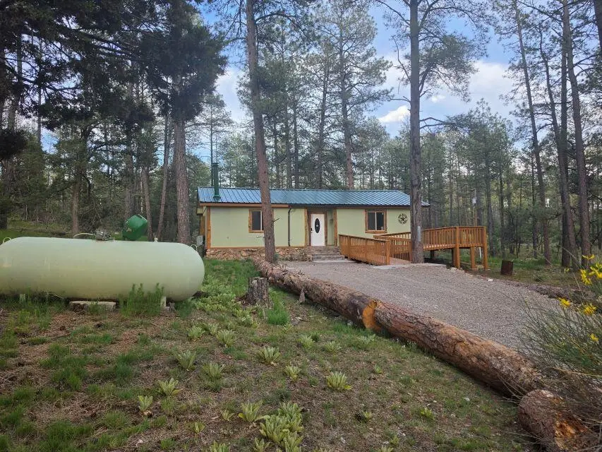 16 Pawhuska Dr, Timberon, NM 88350 - #3