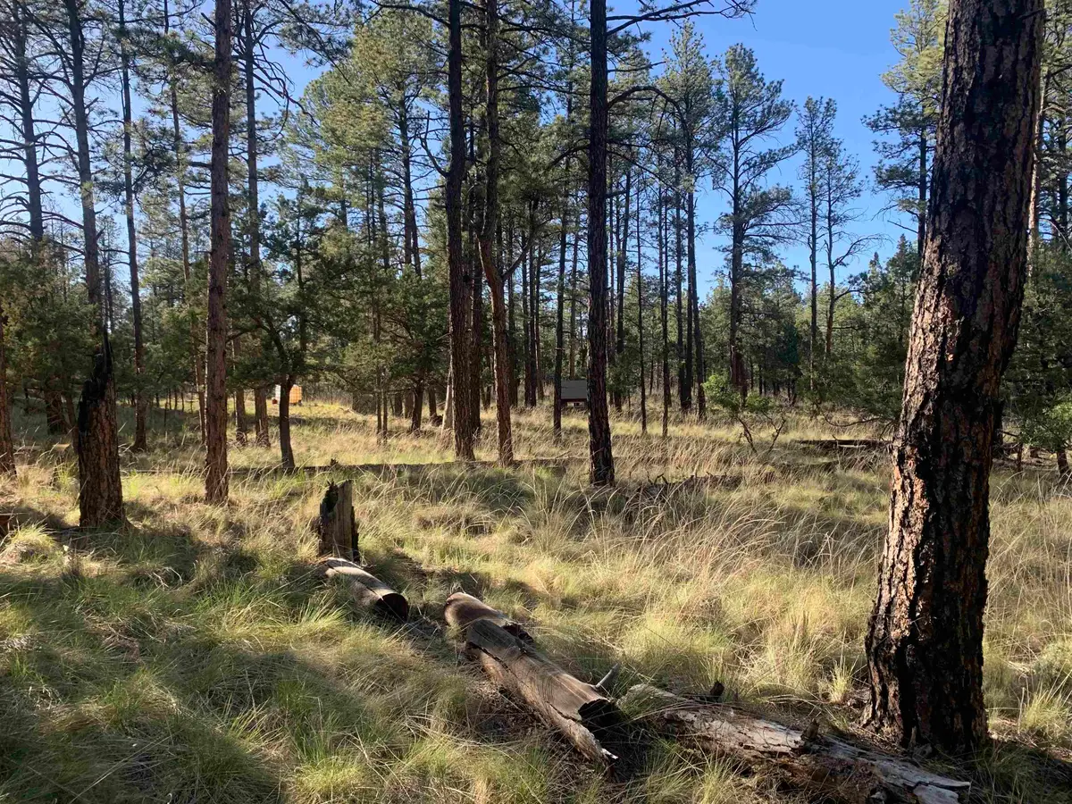 Lot 2, Timberon, NM 88350 - #1
