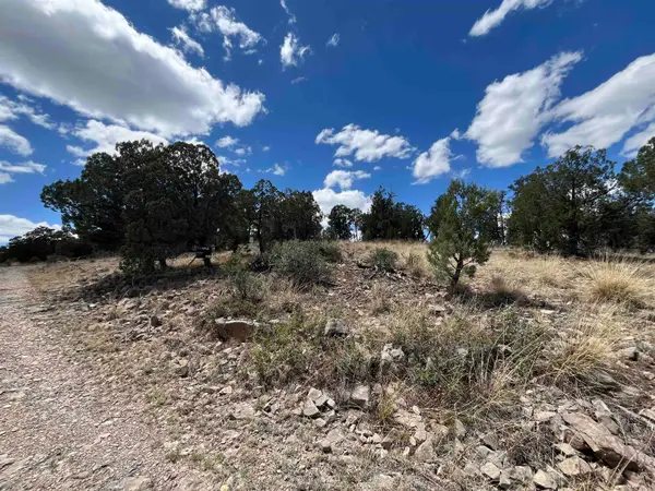 20 Lewis Canyon Rd, Weed, NM 88345
