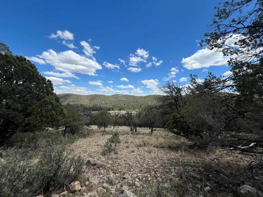 20 Lewis Canyon Rd, Southeast Otero, NM 88345 - #2