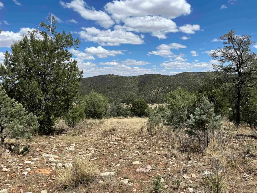 20 Lewis Canyon Rd, Southeast Otero, NM 88345 - #3