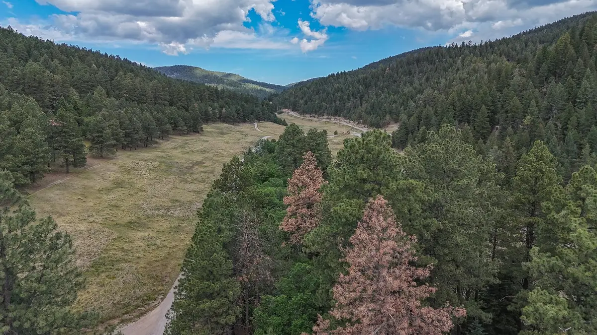 27 Ponderosa Pines Trl, Cloudcroft, NM 88317 - #1