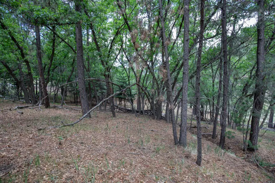 27 Ponderosa Pines Trl, Cloudcroft, NM 88317 - #2
