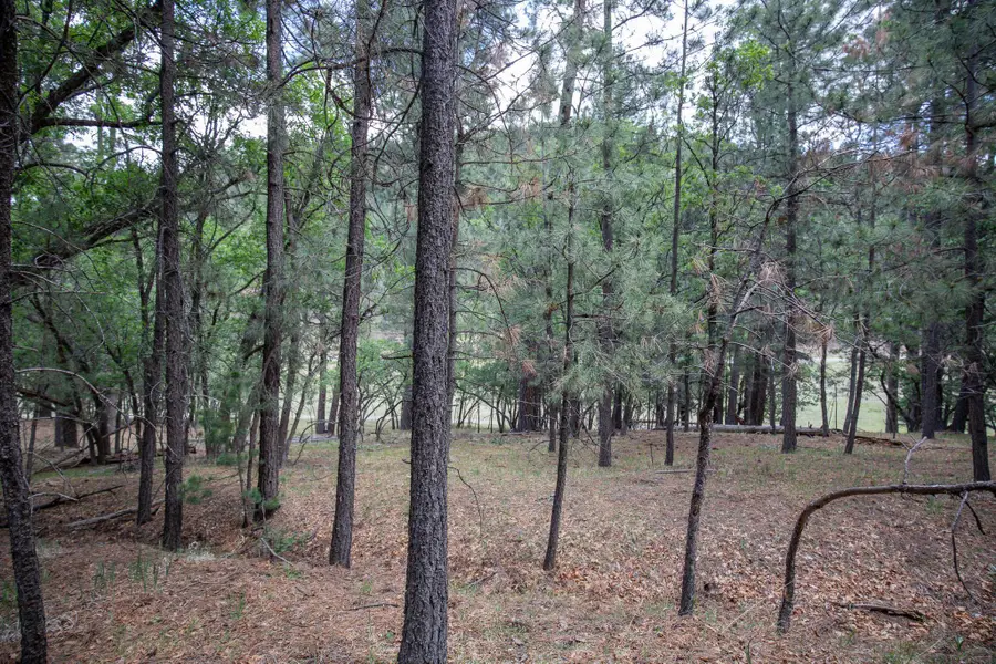 27 Ponderosa Pines Trl, Cloudcroft, NM 88317 - #3