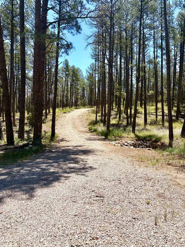 70 Settlers Ln, Timberon, NM 88350