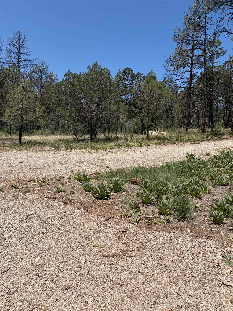 70 Settlers Ln, Timberon, NM 88350 - #2