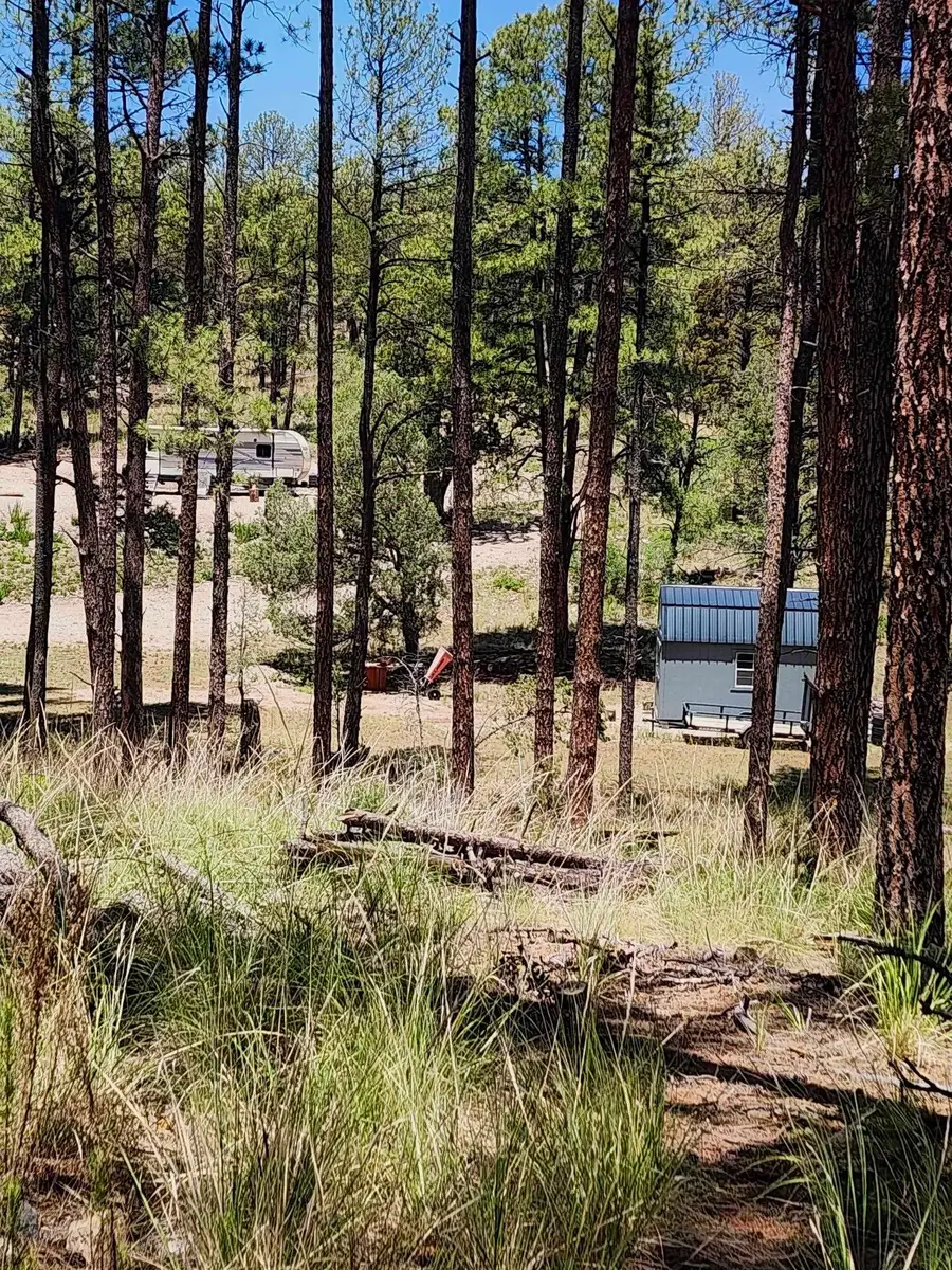 70 Settlers Ln, Timberon, NM 88350 - #3