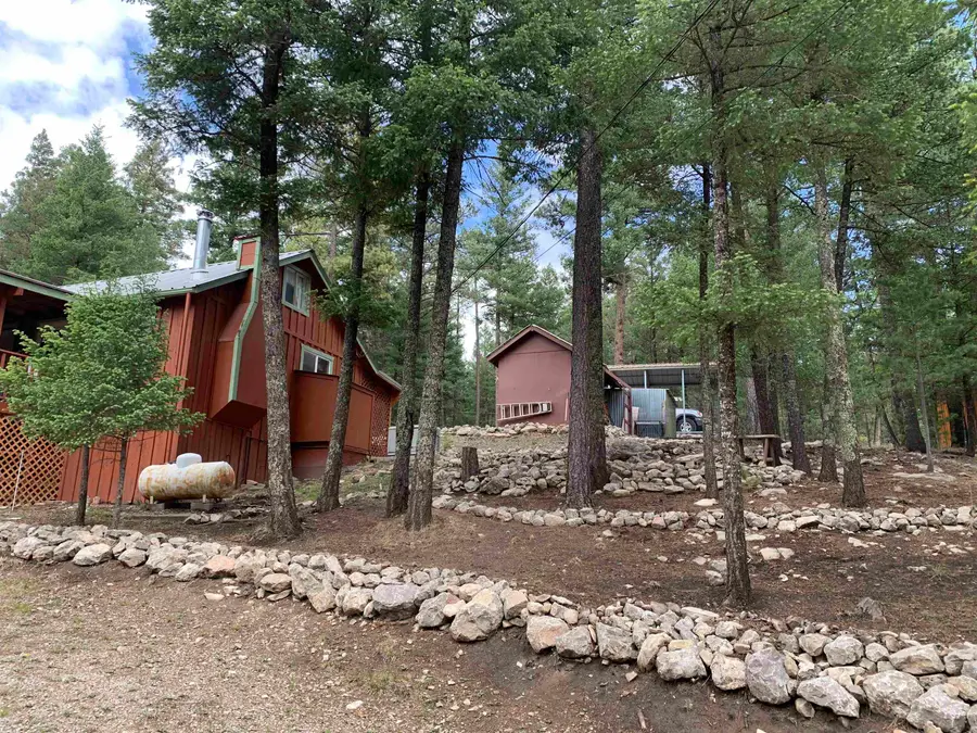 7 Turkey Trl, Cloudcroft, NM 88317 - #2