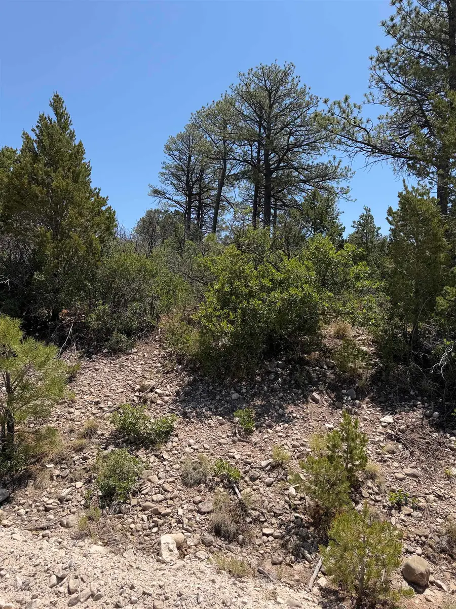 27 Lakewood Dr, Timberon, NM 88350 - #2