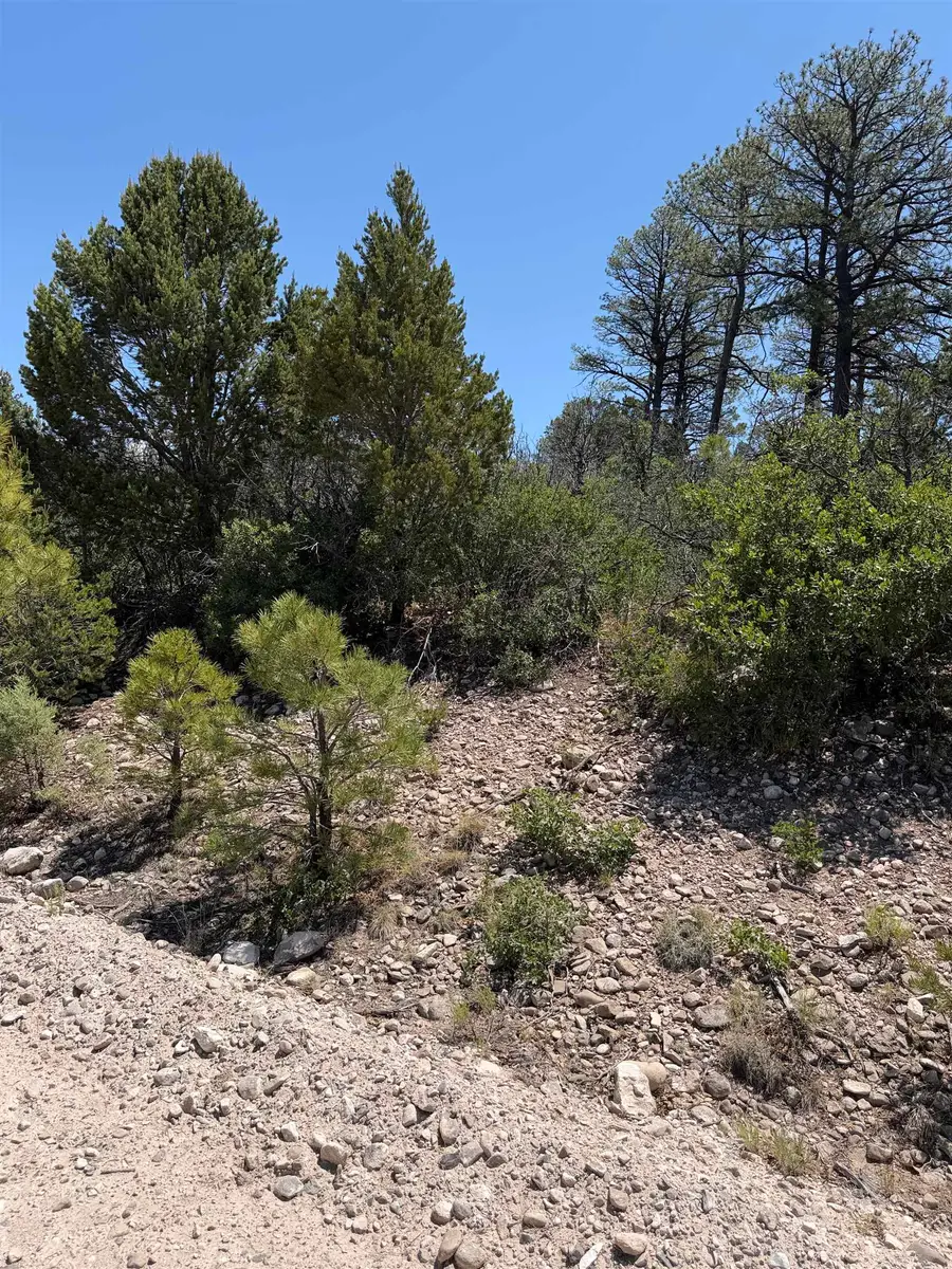 27 Lakewood Dr, Timberon, NM 88350 - #3