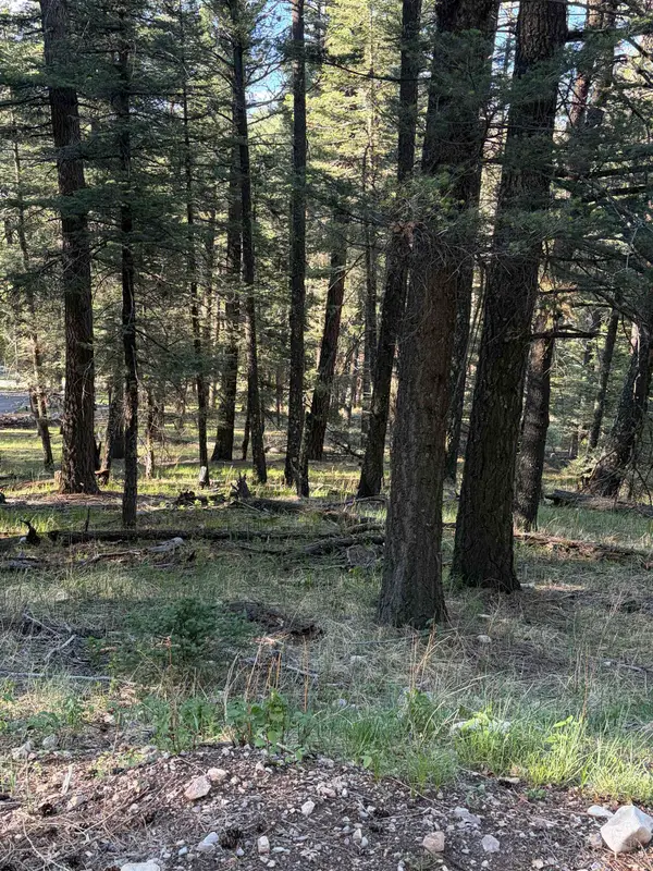 Juniper, Mayhill, NM 88339-0000