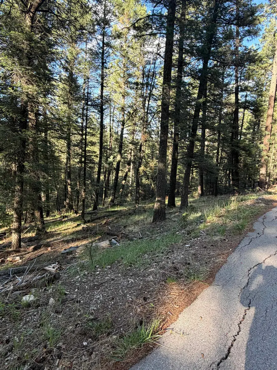 Juniper, Mayhill, NM 88339-0000 - #3