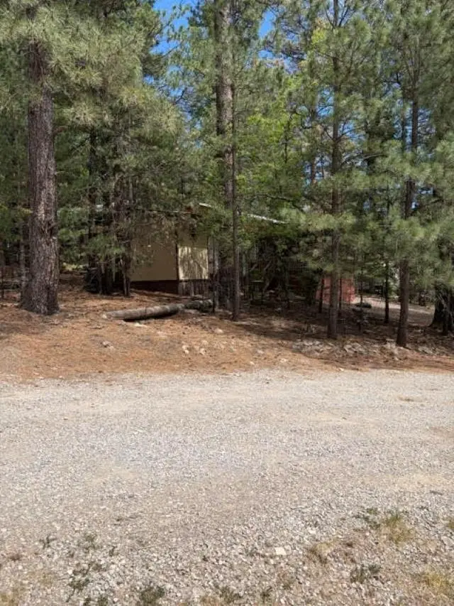 33 Pine Ridge, Cloudcroft, NM 88317 - #1