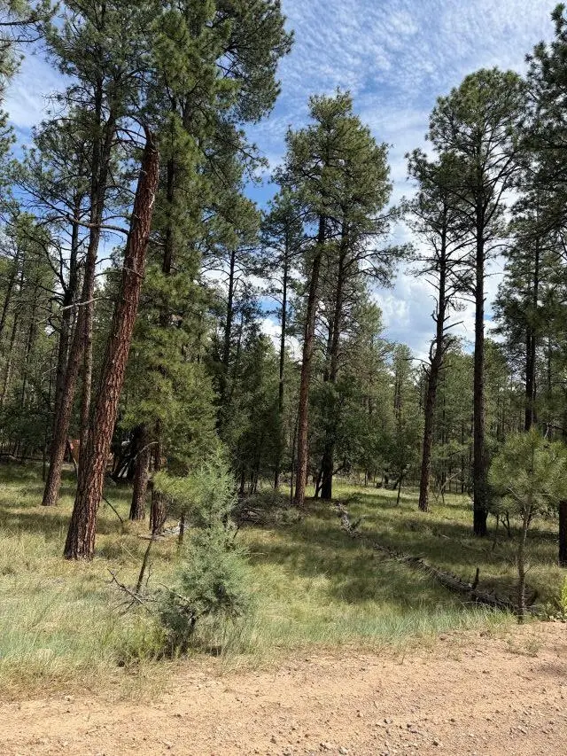 Homewood Dr, Timberon, NM 88350 - #1